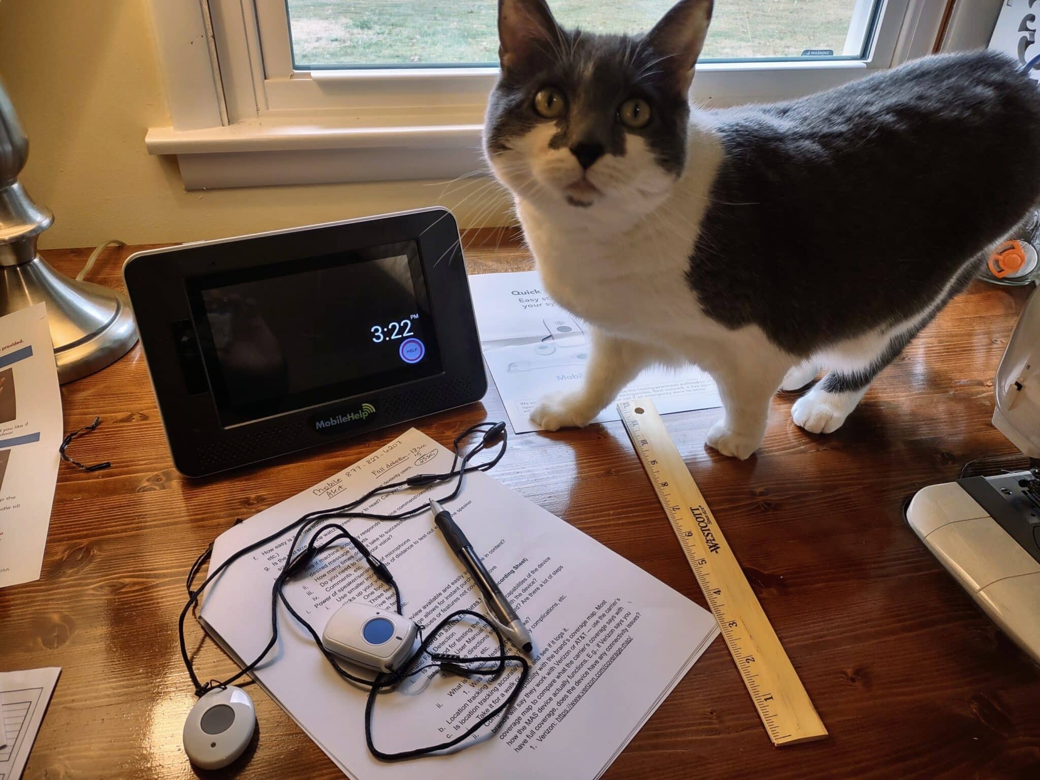 Gray and white cat next to medical alert system, ruler, and medical alert necklaces during testing.