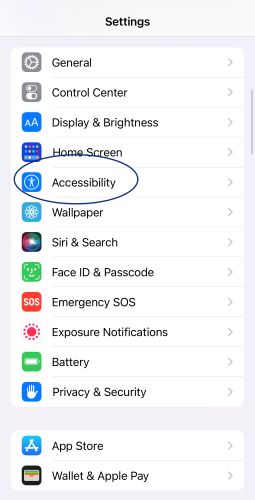 Screenshot of iPhone settings with Accessibility circled