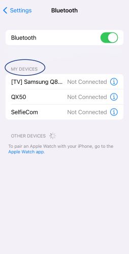 Screenshot of iPhone settings for Bluetooth pairing with 'My Devices' circled