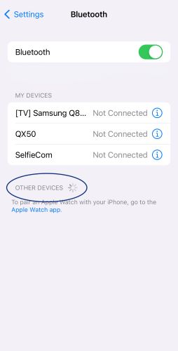 Screenshot of iPhone settings for Bluetooth pairing with 'Other Devices' circled