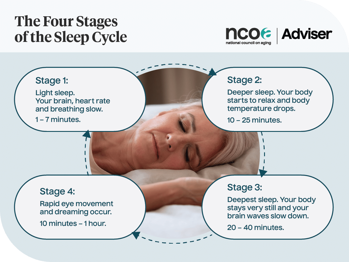 An infographic showing the four stages of sleep: light sleep, deeper sleep, deepest sleep, and rapid eye movement.