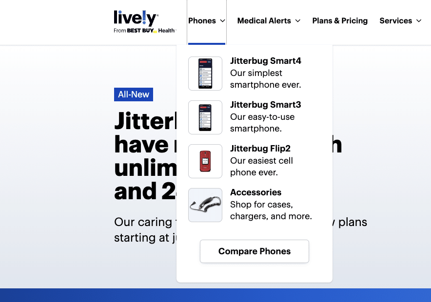 Lively website screenshot showing accessories menu